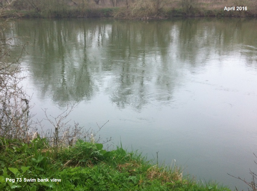 SPRING BANK VIEW